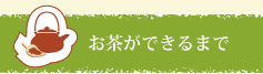 お茶ができるまで